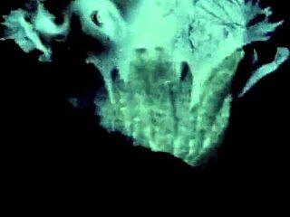 Vintage Tranny in Secret Life Sans Fanny