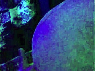 Dirty talking sluts get creampied in one on one action