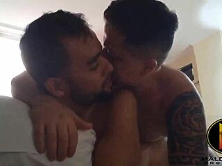 Accept Love Before It's Too Late Happy Valentine's Day