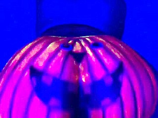 Amateur Couple Twerking On A Pumpkin With Big Ass Moves During Halloween