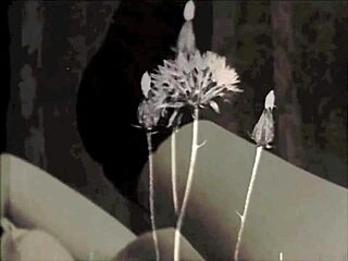 Dark Lantern Entertainment Presents Vintage Porn From One Hundred Years Ago