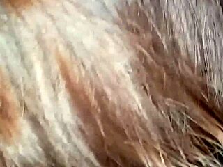 Stepmother Sucks Stepson's Cock At Home