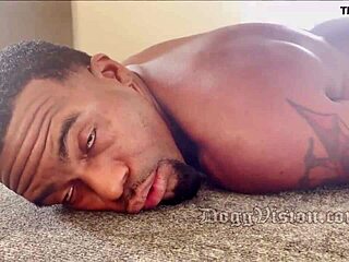 bachelor party nightmare for rome major