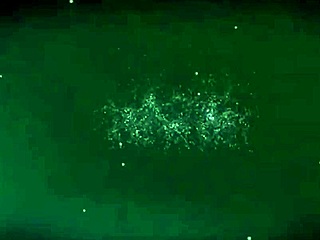 beauty queen gives blowjob like a princess, doesn't she?