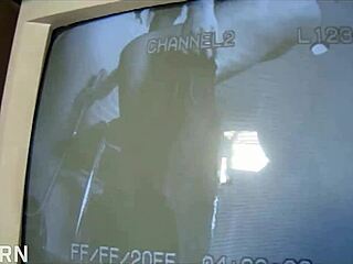 annika adams explores a texas glory hole in the bathroom setting