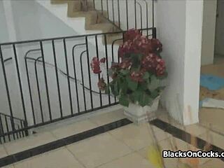 Anniversary Blowjob from Ebony GF in Lingerie During Holiday