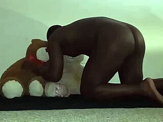 Brown And Caucasian Furry Toy Bears In Bisexual Threesome With Kissing And Massage.