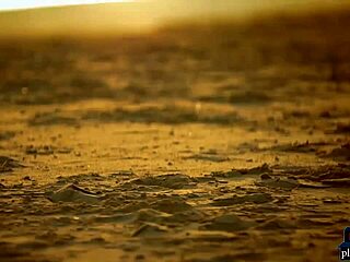 Four girlfriends licking shaved pussies on the beach