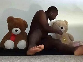 Brown And Caucasian Furry Toy Bears In Bisexual Threesome With Kissing And Massage.