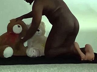 Brown And Caucasian Furry Toy Bears In Bisexual Threesome With Kissing And Massage.