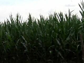 जर्मन स्काउट ने 18 साल की स्टूडेंट लारा को हैम्बर्ग स्ट्रीट कास्टिंग में चोदा