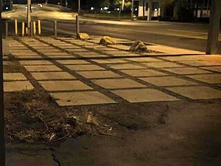 Latin Teen 18+ With Big Boobs And All Holes Bound In Bdsm Action!