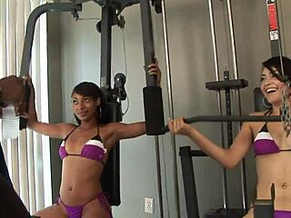 i fuck hairy wet cunt in groupsex