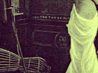 Bisexuals in Victorian era in hardcore scenes with hairy and wet pussies and gay blowjobs