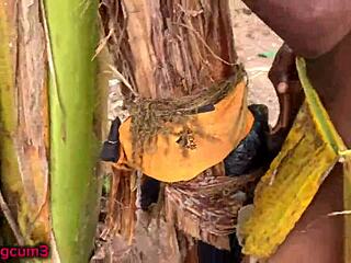 brunette kate bound in lingerie gets rough doggystyle on sex swing