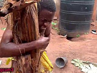 brunette kate bound in lingerie gets rough doggystyle on sex swing