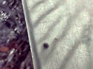 We got a new girl to model in this hentai anime scene, showcasing her stunning looks and poses.