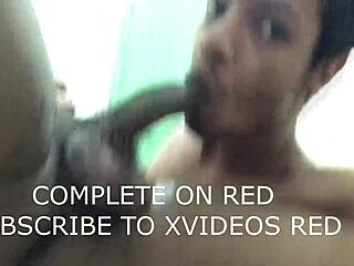 मैं इस सुपर ब्लोजॉब एक्सचेंज को ब्राजीलियन हीट के साथ लव कर रही हूं!