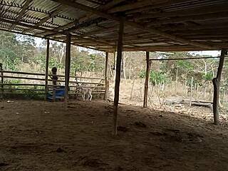 Stepmother seduces stepson on the farm after her husband's death