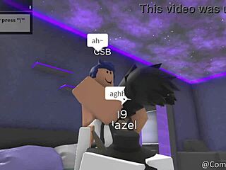 a casual story about pet in furry adventure