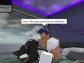 a casual story about pet in furry adventure