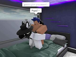 a casual story about pet in furry adventure