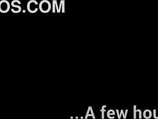 3D animated porn with a harem theme