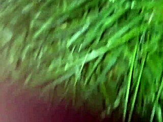 Public oral sex in a park