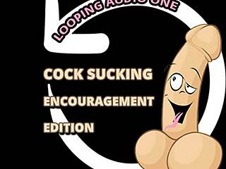 Cock Sucking Encouragement for Intense Pleasure