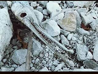 Music Video Featuring Oklahoma Farm Wedding and Country Ranch Life