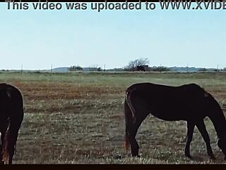 Music Video Featuring Oklahoma Farm Wedding and Country Ranch Life