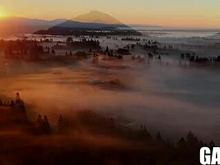 I want something more with Carter Woods and Nico Coopa