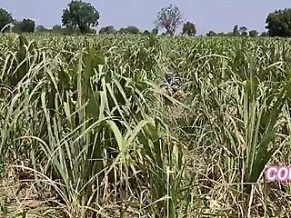 bent over for big cock doggystyle