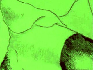 What Are These Vintage Erotic Drawings?