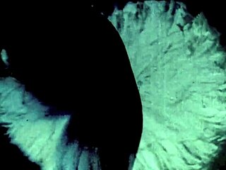 Vintage Victorian Homosexuals in Retro Erotic Scenes