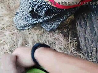 Beautiful teenage girl’s wild and dangerous public sex in the woods with a sea view in 4K