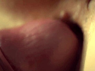 Huge Cock Penetrates Wet Pussy in Detail