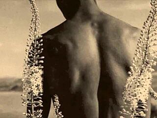 Vintage Victorian Homosexuals in Retro Erotic Scenes