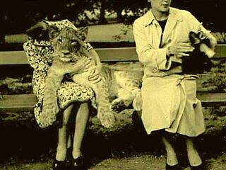 I’m Obsessed with This Vintage Erotic Illustration’s Raw Charm