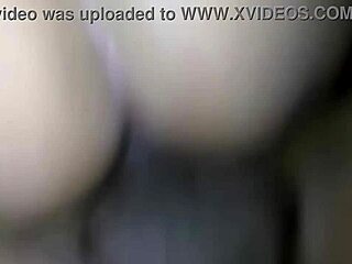 Anal, ass fucking, and creampies with Malasal de todo