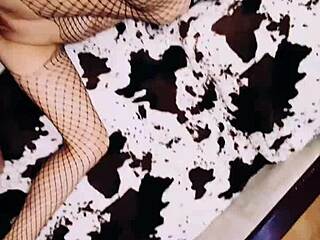 Beautiful wife in fishnets spreads legs for amateur POV sex