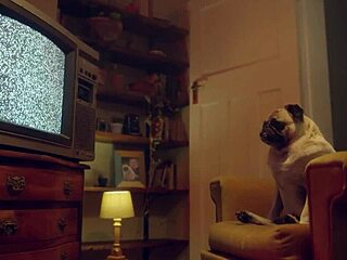 Benefit Monkey Mutual Masturbation With Blonde Amy Douxxx - P2