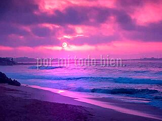 Discover Shakira's Bzrp Music Sessions 53 Lyrics