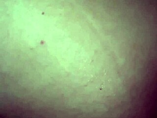 Open Minded Brunette Masturbates and Fingers During Casting Interview POV