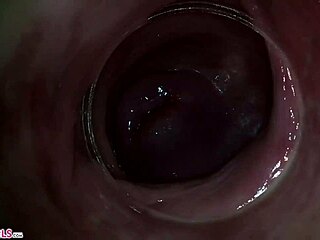 camera gets deep inside paula shys vagina during masturbation