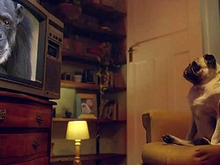 Eden Ivy's Rich Throat Fucked in Lingerie by Benefit Monkey