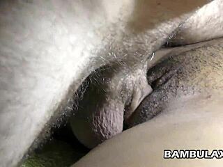 Ebony girlfriend gets fucked by big white cock and creampied