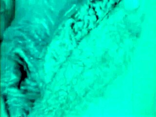 Dark Lantern Entertainment Presents The Dragonfly Freddie!