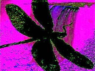 Dark Lantern Entertainment Presents The Dragonfly Freddie!