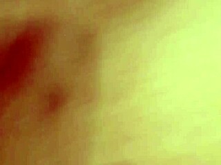 Sundaydogood614 Shares Update 366 On July 30 2024